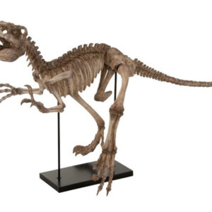 Dinosaurus kostra na podstavci dekorácia EXPEDITION