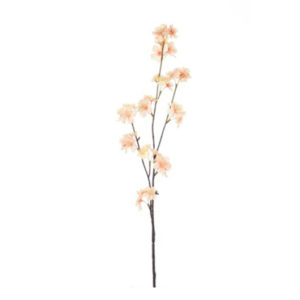 Kvet ružový marhuľový vetvička 12ks set APRICOT