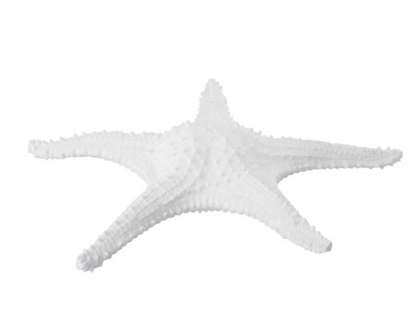 Morská hviezdica biela veľká IBIZA LIFESTYLE AKCIA