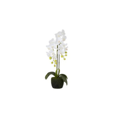 Orchidea biela dekorácia MODERN LUXURY SKLADOM AKCIA