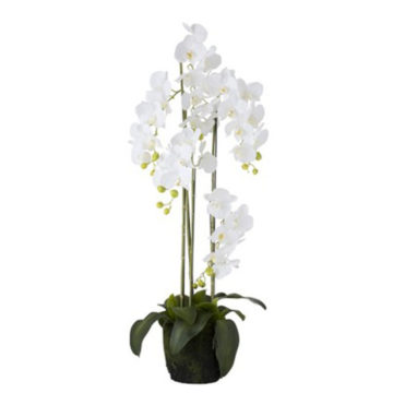 Orchidea biela v kvetináči dekorácia MODERN LUXURY