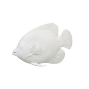 Ryba biela dekorácia ZANZIBAR