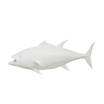 Ryba biela tuniak dekorácia ZANZIBAR