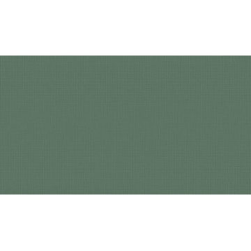 Obklad zelený matný 50x120cm LILYSUITE GREEN